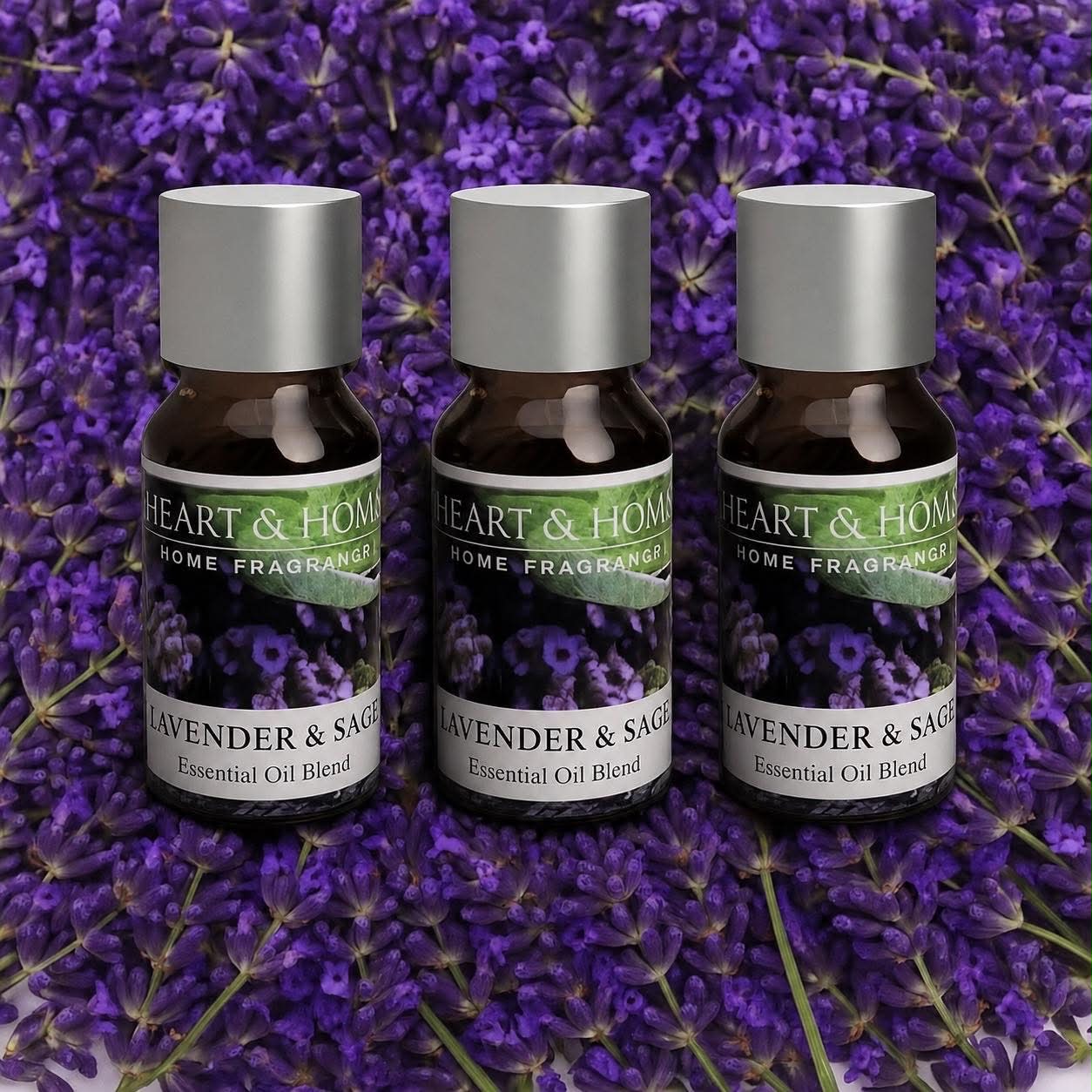 3 lavenderolíur á verði einnar!
